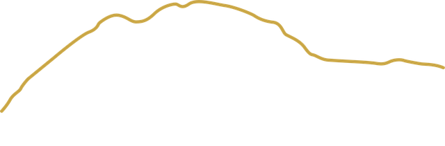 Paarl Design Studio